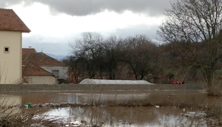 COORDINATION BODY’S EMERGENCY AID