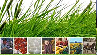 NË PANAIR MË SHUMË SE 60 KOMPANI