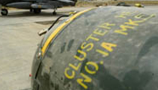 1,600 ROUNDS OF AMMUNITION DESTROYED