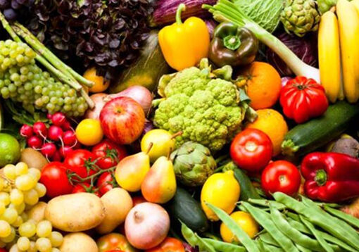 CALL FOR APPLICATIONS OF THE MINISTRY OF AGRICULTURE, FORESTRY AND WATER MANAGEMENT OF THE REPUBLIC OF SERBIA