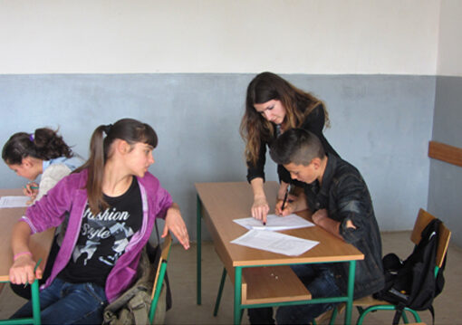 STUDY ON THE TEACHING OF THE SERBIAN LANGUAGE IN PRIMARY SCHOOLS IN BUJANOVAC AND PRESEVO