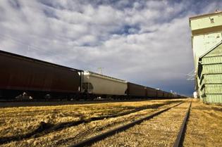 SYRIANS ON FREIGHT TRAIN