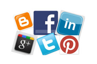 „KRIJIMI I LIDERËVE TË RINJ TË MINORITETEVE NË SJENICË“