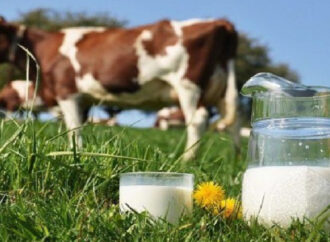 МИНИСТАРСТВО ПОЉОПРИВРЕДЕ ДЕМАНТУЈЕ ЗЛОНАМЕРНЕ И НЕТАЧНЕ ИНФОРМАЦИЈЕ О УКИДАЊУ ПРЕМИЈА ЗА МЛЕКО