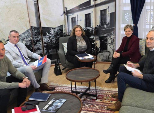 ПОСЕТА ОПШТИНИ ПРЕШЕВО И РАЗГОВОР СА АРДИТОМ СИНАНИ