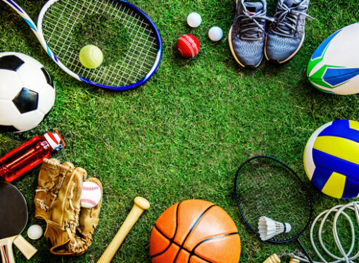 ЈАВНИ ПОЗИВ ЗА ФИНАНСИРАЊЕ ПОСЕБНИХ  ПРОГРАМА ЗА  ПОТРЕБЕ  И ИНТЕРЕСЕ ГРАЂАНА  У ОБЛАСТИ СПОРТА У ОПШТИНИ МЕДВЕЂА